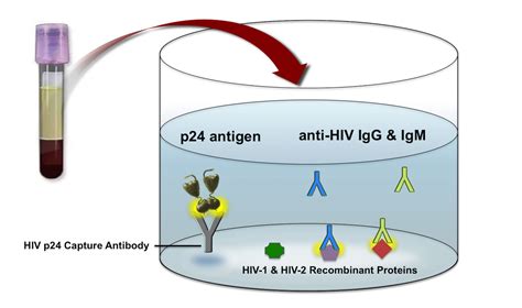 hiv 1&2 antibody non reactive.